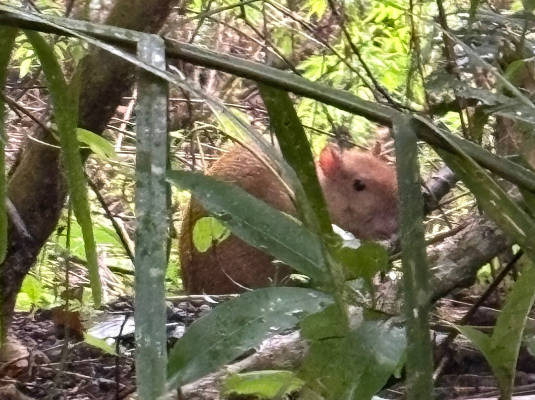 Metropolitan National Park-巴拿马城必去景点