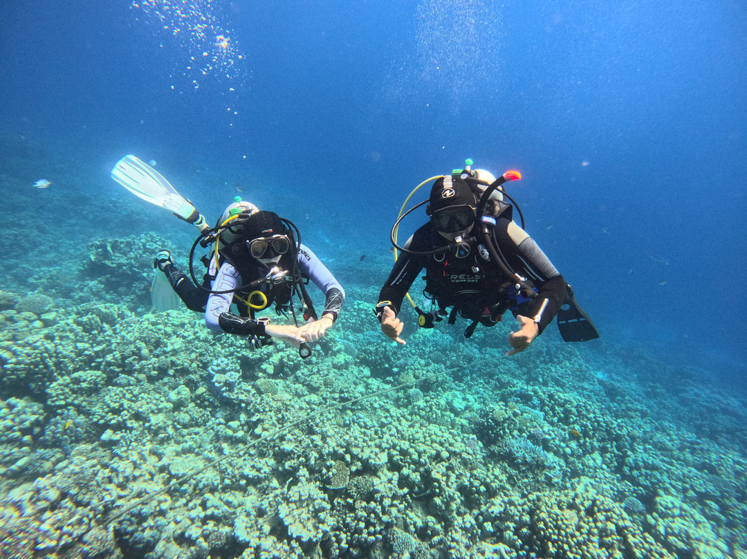 ORCA Dive Club Soma Bay-索马湾必去景点