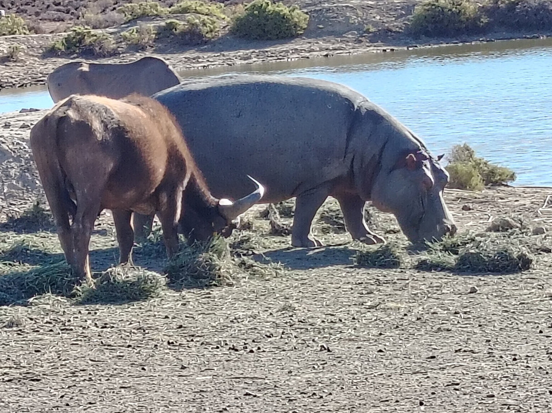 Mont Eco Game Reserve主图