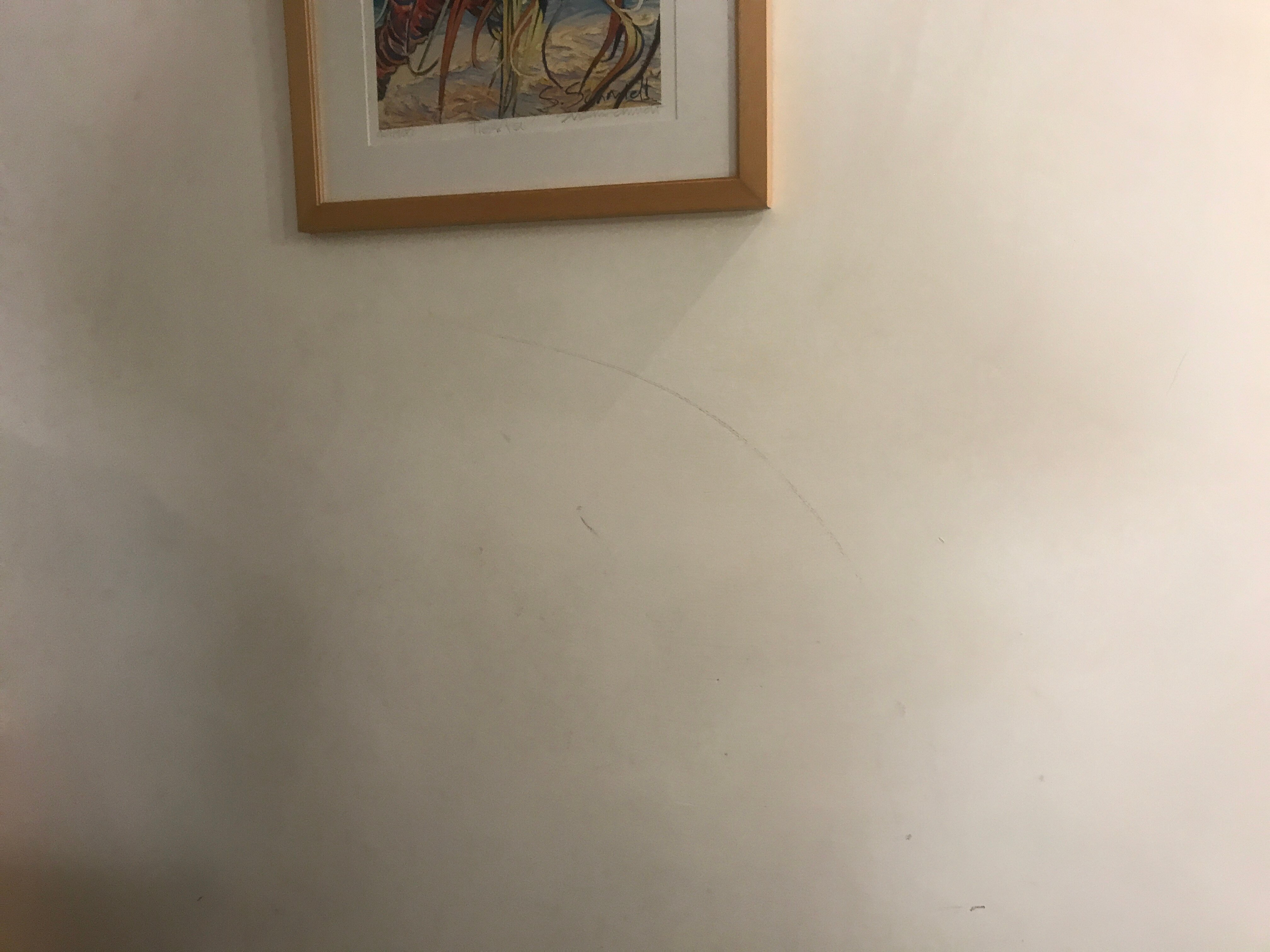 Ibis Thornleigh-客卧