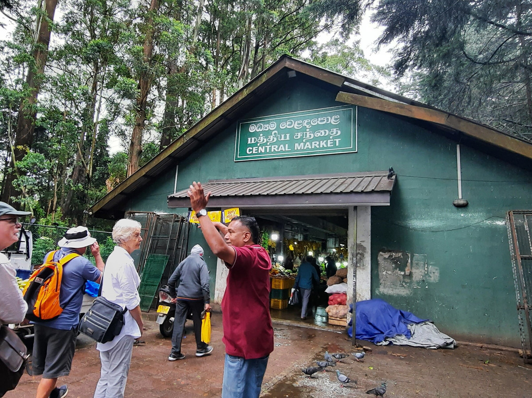 Lanka Tracker - Day Tours-马塔拉必去景点
