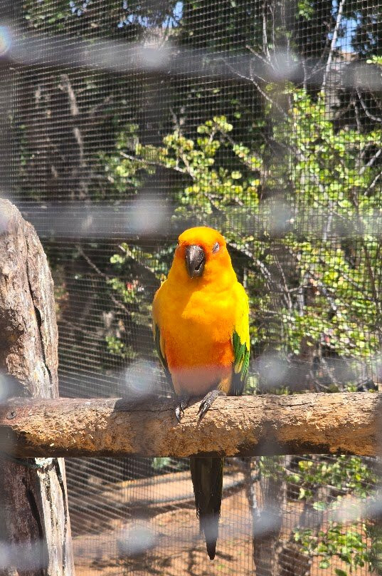 Monkey Park-洛斯克里斯蒂亚诺斯必去景点