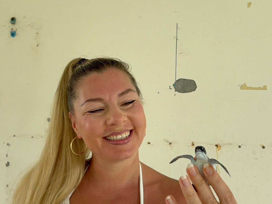 Royal Thai Navy Sea Turtle Conservation Center Phang Nga-Lam Kaen必去景点