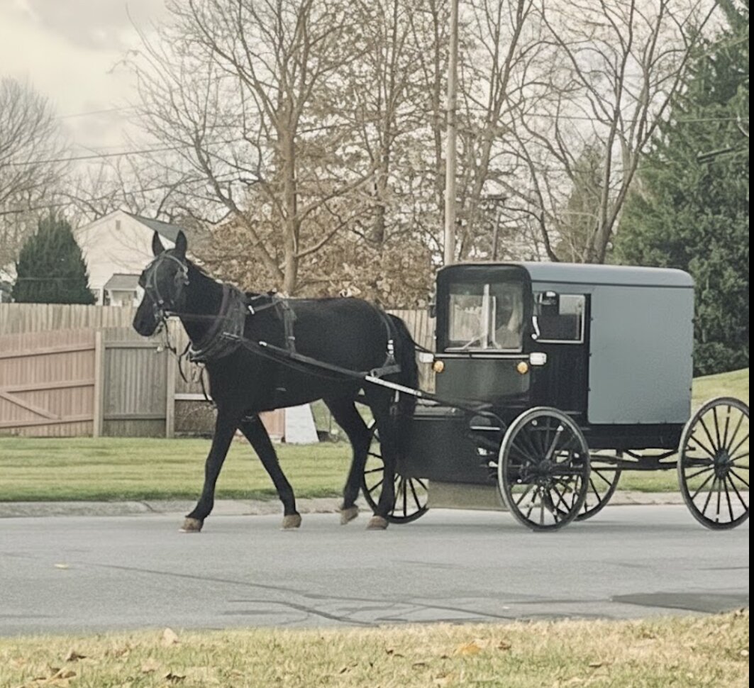 La Quinta Inn & Suites by Wyndham Lancaster-官方