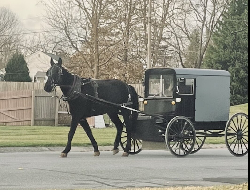 Ronks酒店住宿-La Quinta Inn & Suites by Wyndham Lancaster