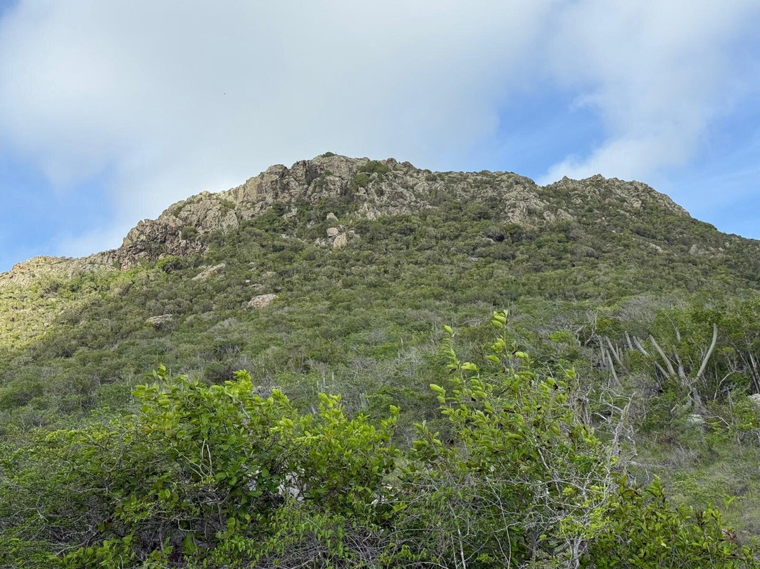 Christoffelpark-Sabana Westpunt必去景点