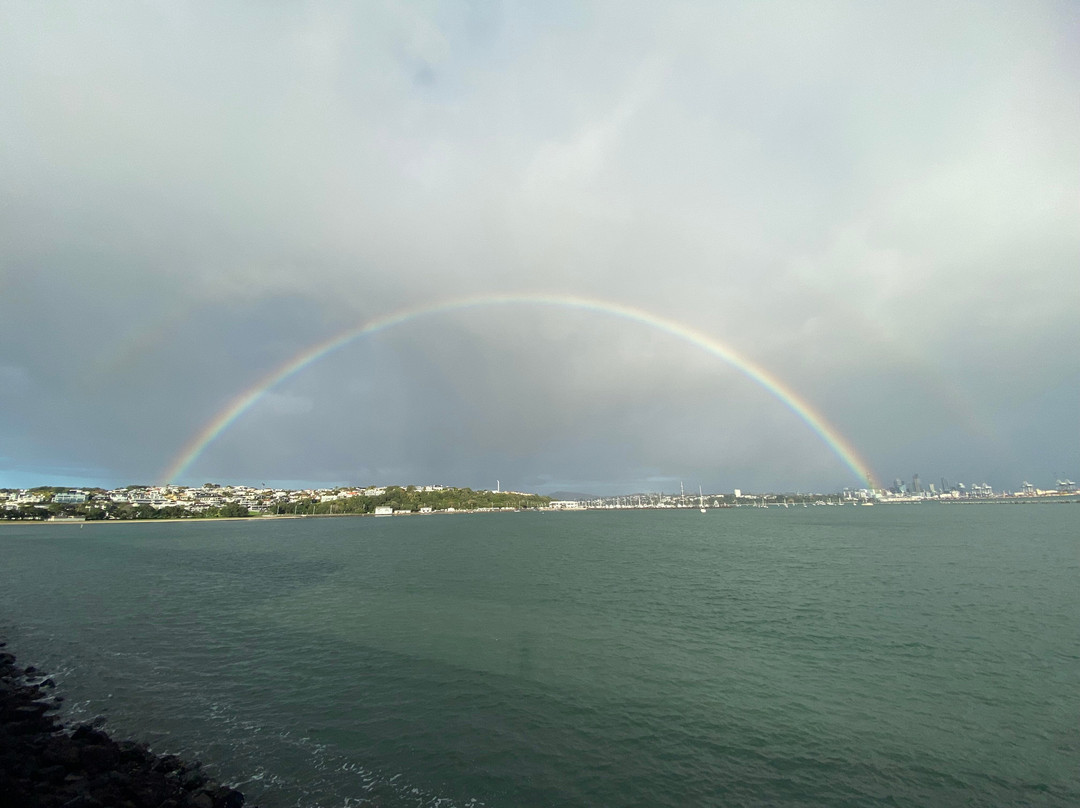 Red Carpet Tours-奥克兰中心地区必去景点