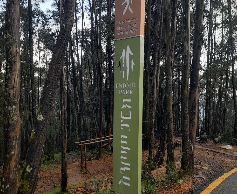 Entoto Natural Park-亚的斯亚贝巴必去景点