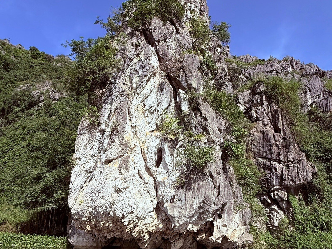 Van Long Nature Reserve-宁平必去景点