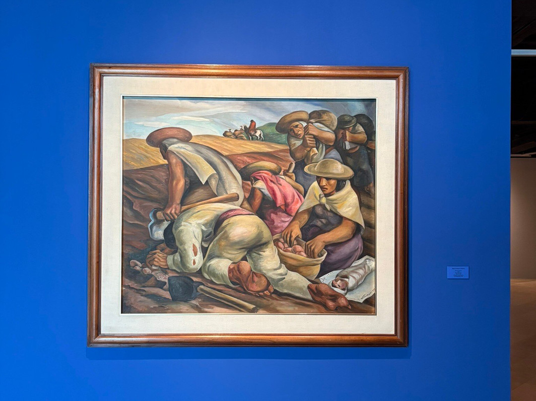 Museo del Banco Central-曼塔必去景点