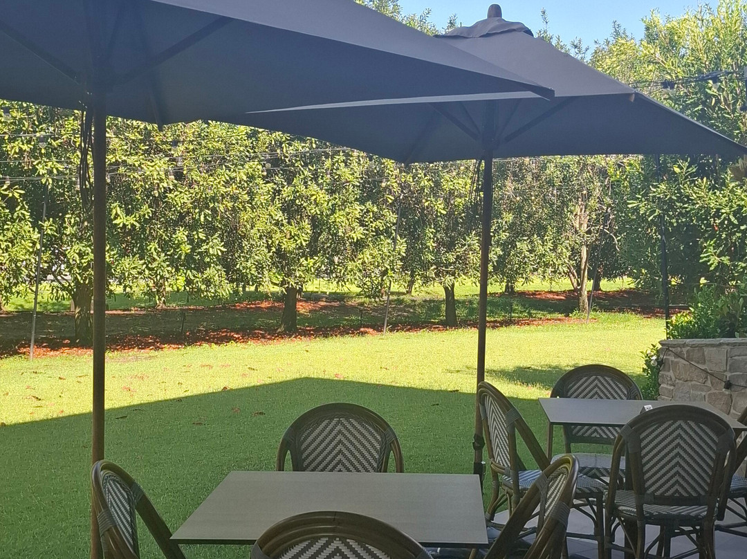 Macadamias Australia-邦德堡必去景点