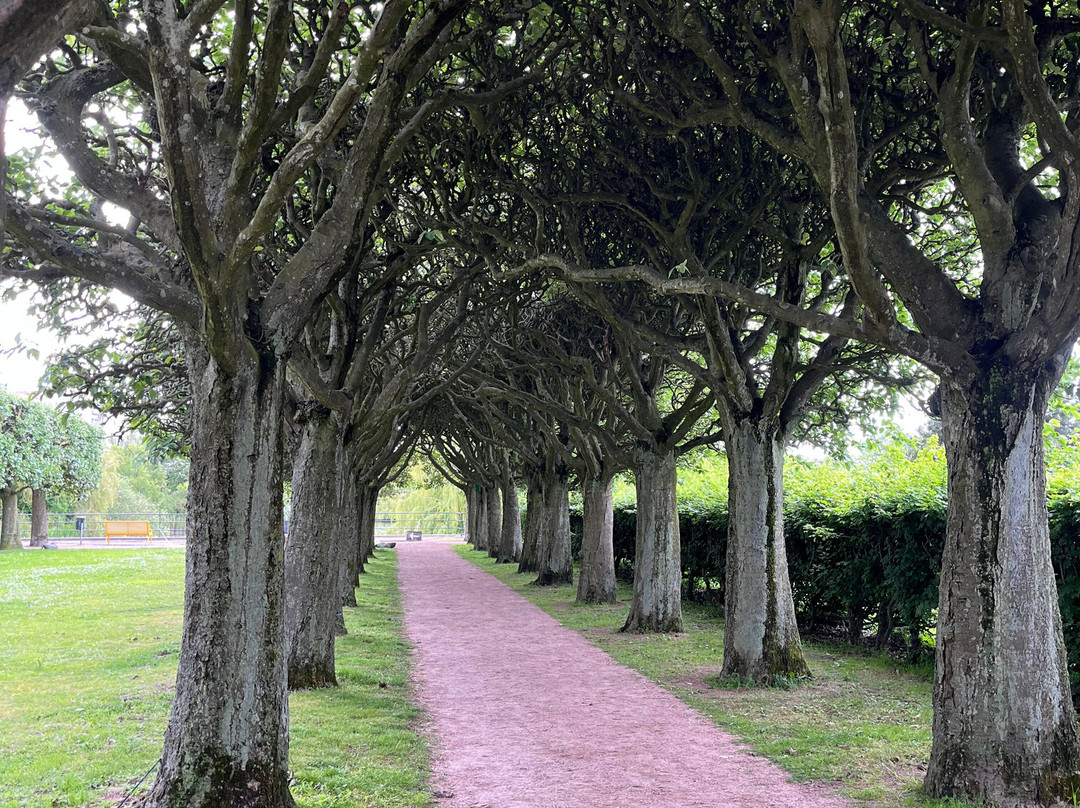 Kungsparken-马尔默必去景点