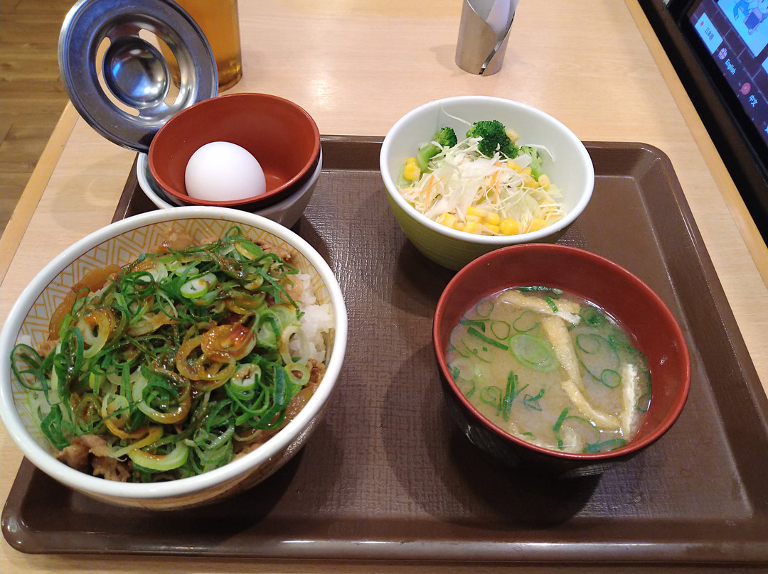 すき家 255号大井松田店