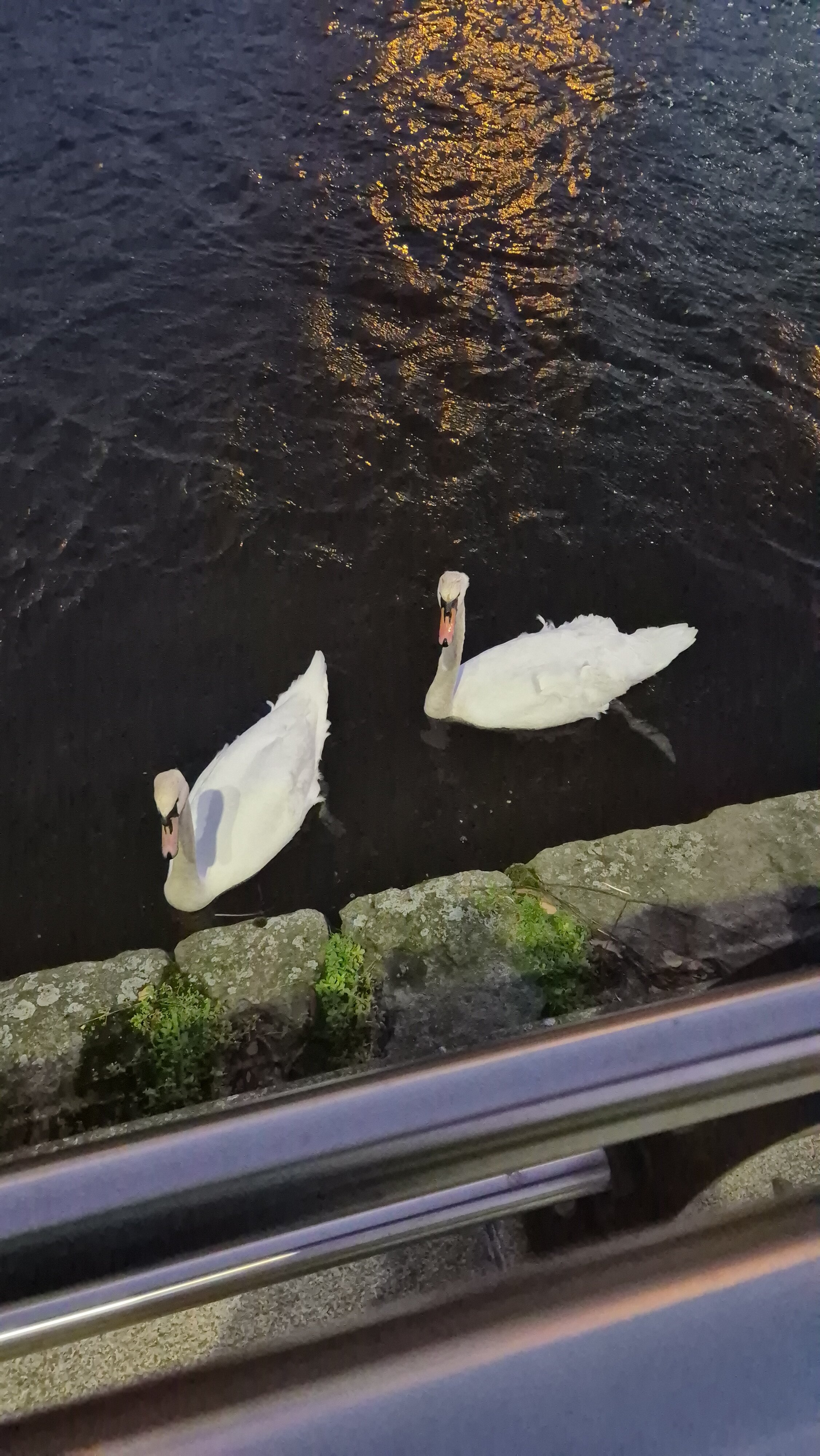 Canal Court Hotel & Spa-官方