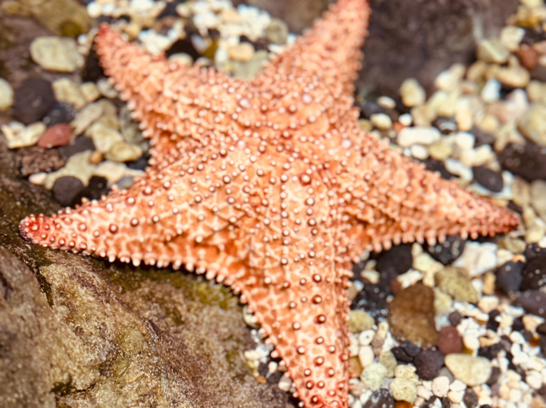 Aquarium de la Guadeloupe-Le Gosier必去景点