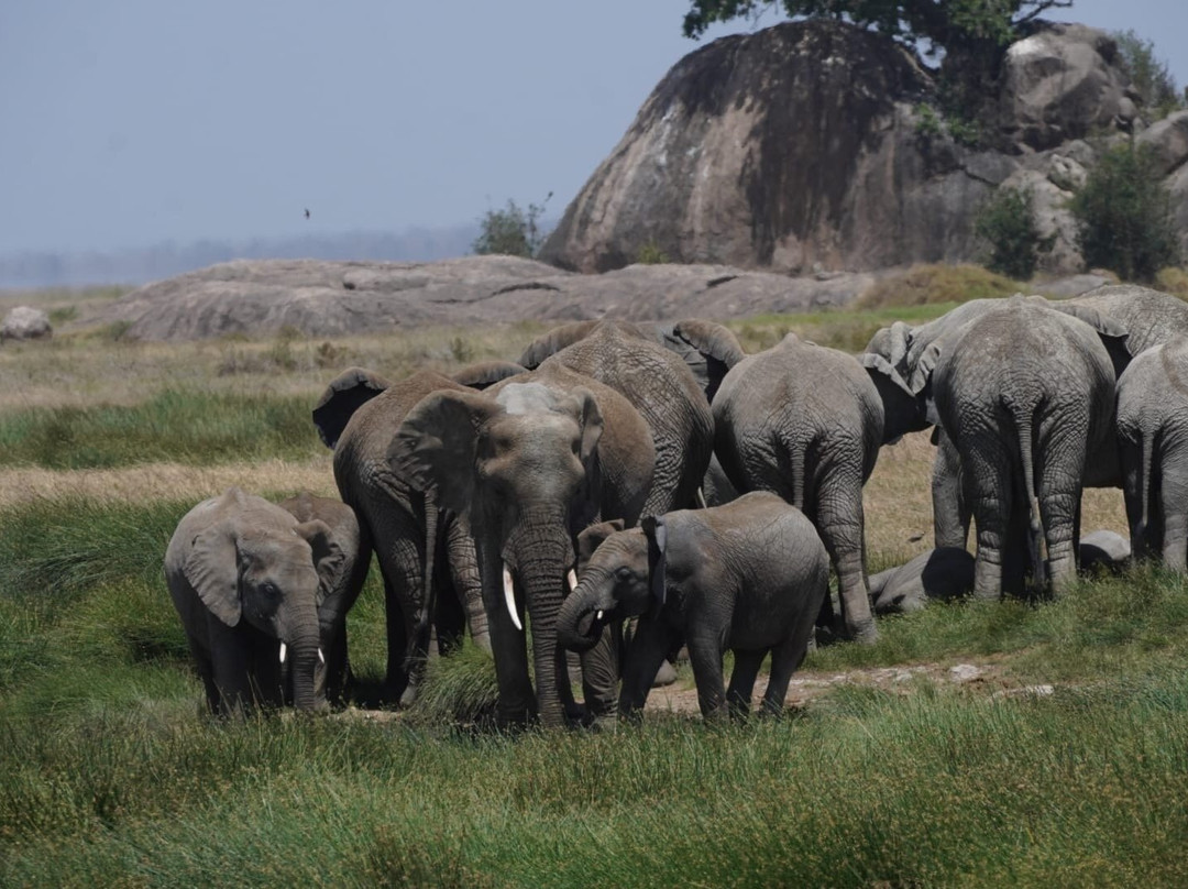 Tanzania Specialist-阿鲁沙必去景点