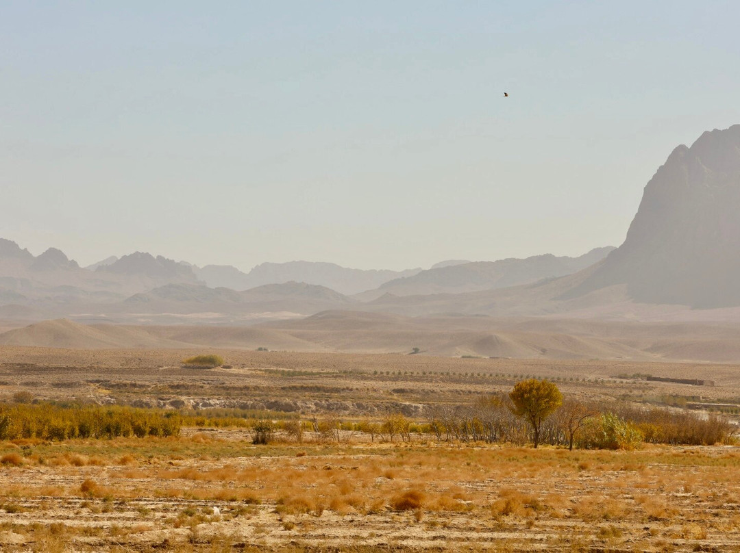 Peace Hope Afghanistan Tours-Kabul必去景点