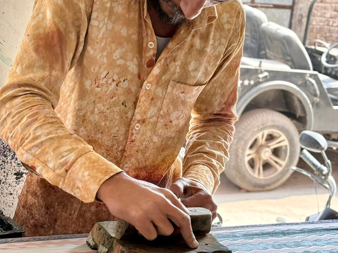 Alis Tuk Tuk Jaipur-斋蒲尔必去景点