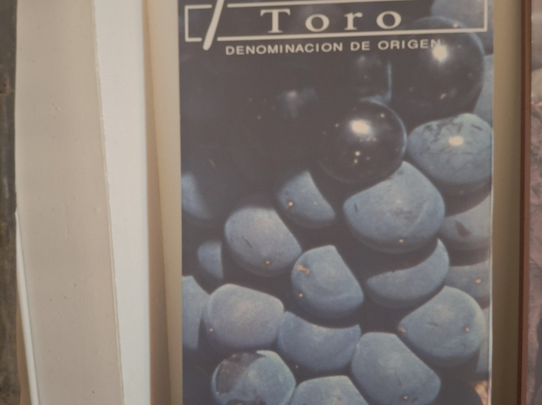 Bodegas Fariña-Toro必去景点