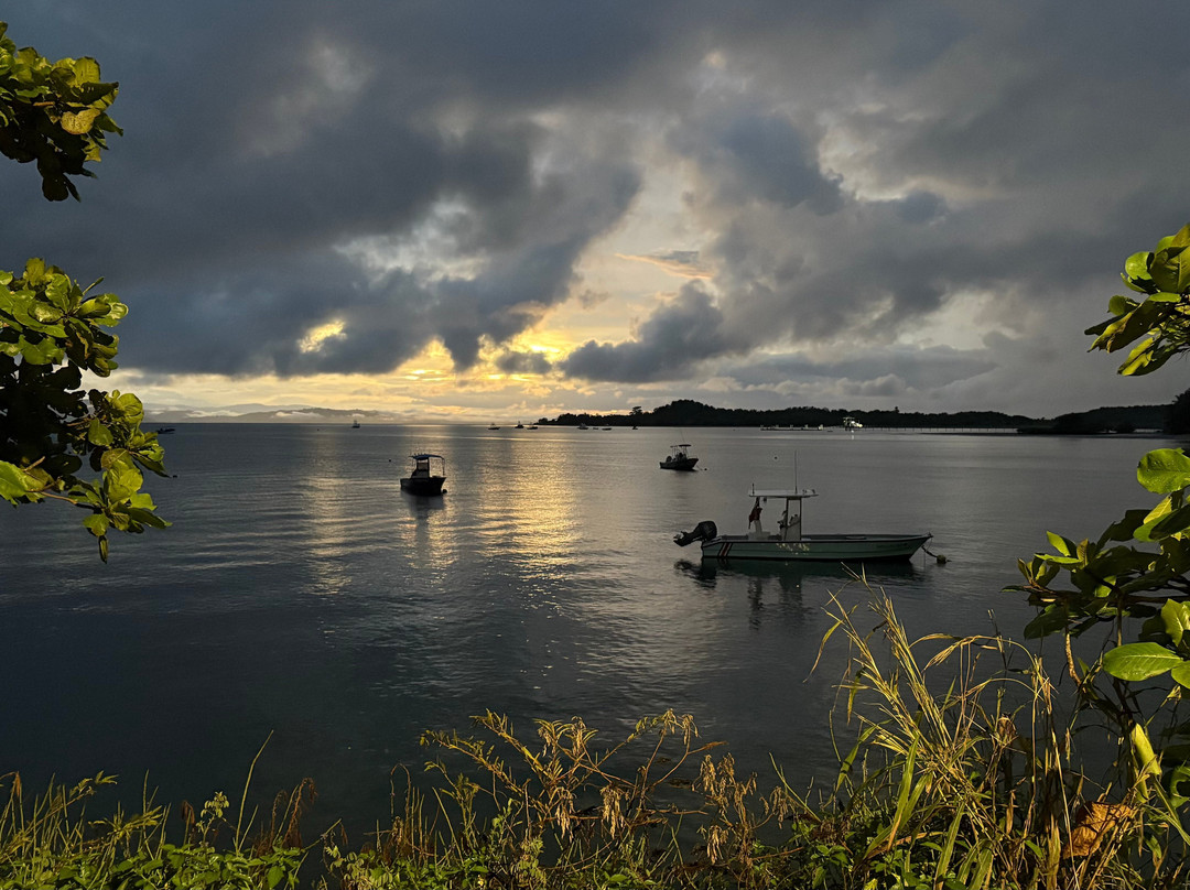 Surcos Tours-希门尼斯港必去景点