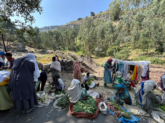 SimienEcoTours-贡德尔必去景点