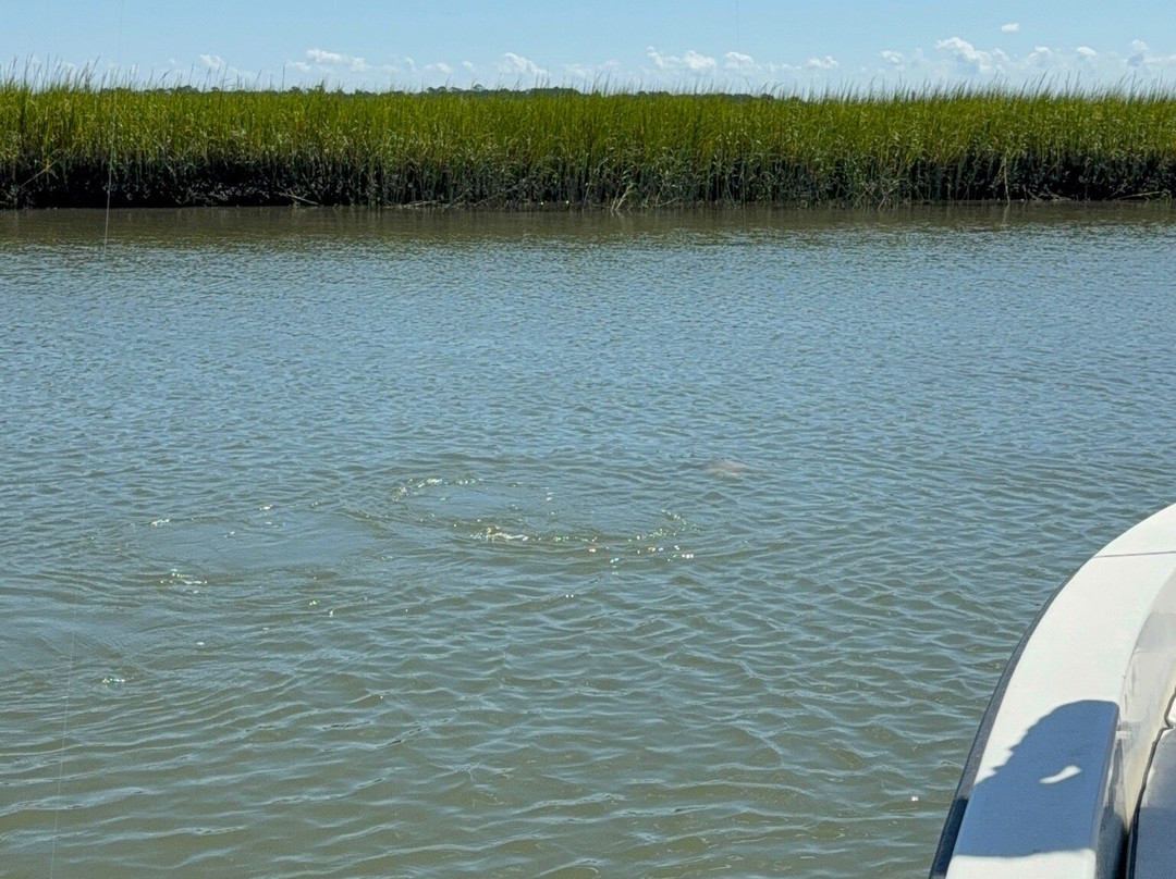 Tall Tide Fishing Adventures-查尔斯顿必去景点