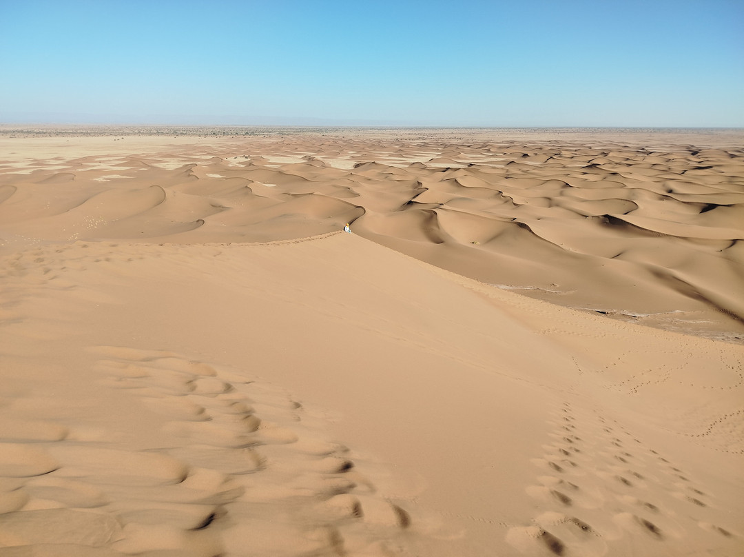 Racines du Désert-迈哈米德必去景点