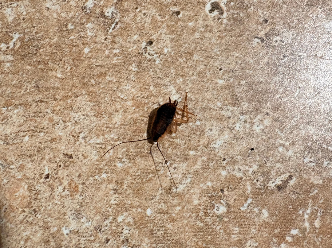 Extended Stay America Select Suites - Kalamazoo - West主图