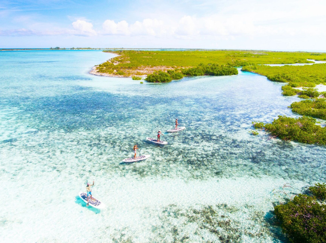 Floe Luxury Kayking , Jet Ski Turks And Caicos-普罗维登西亚莱斯必去景点