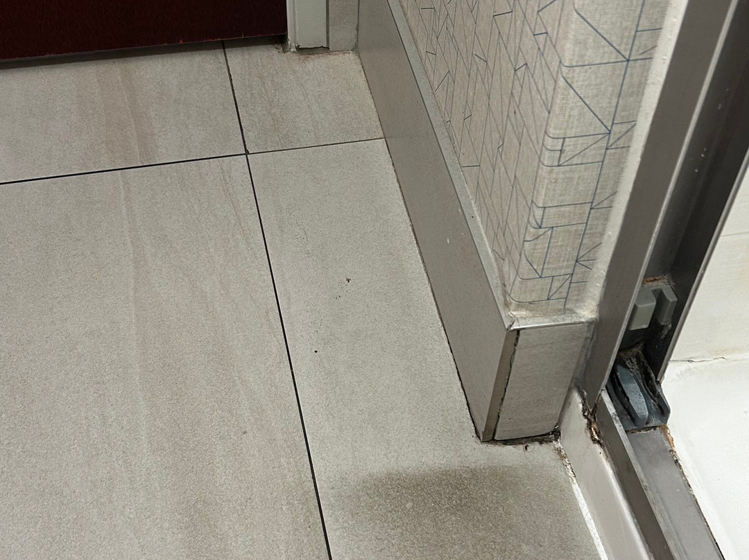 Holiday Inn Express & Suites Dothan North By IHG主图