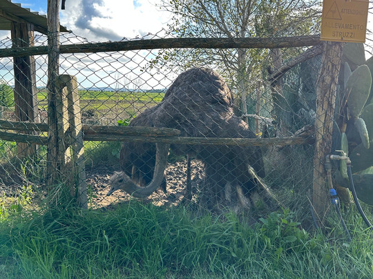 洛坎达乐曼德利亚内酒店主图