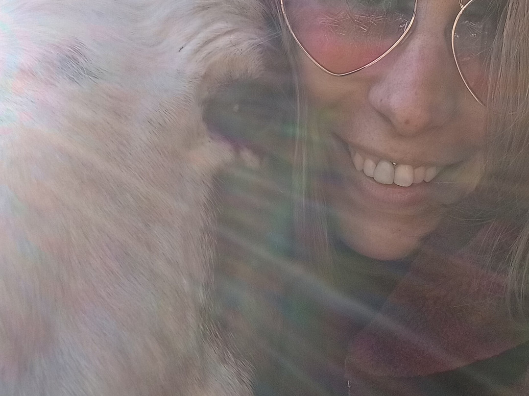 Family Horses 373-5361953-Marina di Ginosa必去景点