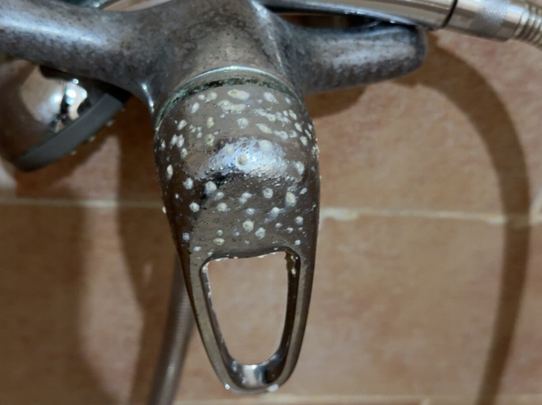 Sangho Zarsis Hotel主图