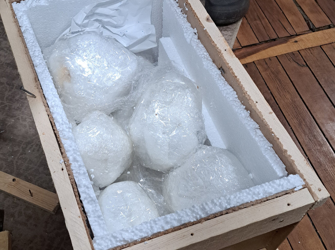 Art Naji-非斯必去景点