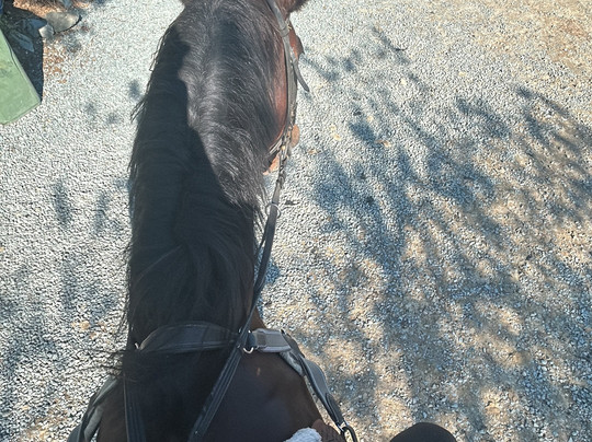 Krokas Ranch-Lythrodontas必去景点