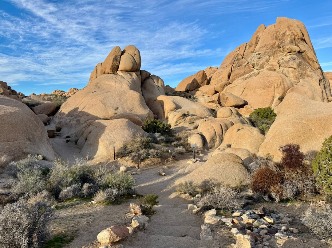Joshua Tree National Park-约书亚树必去景点