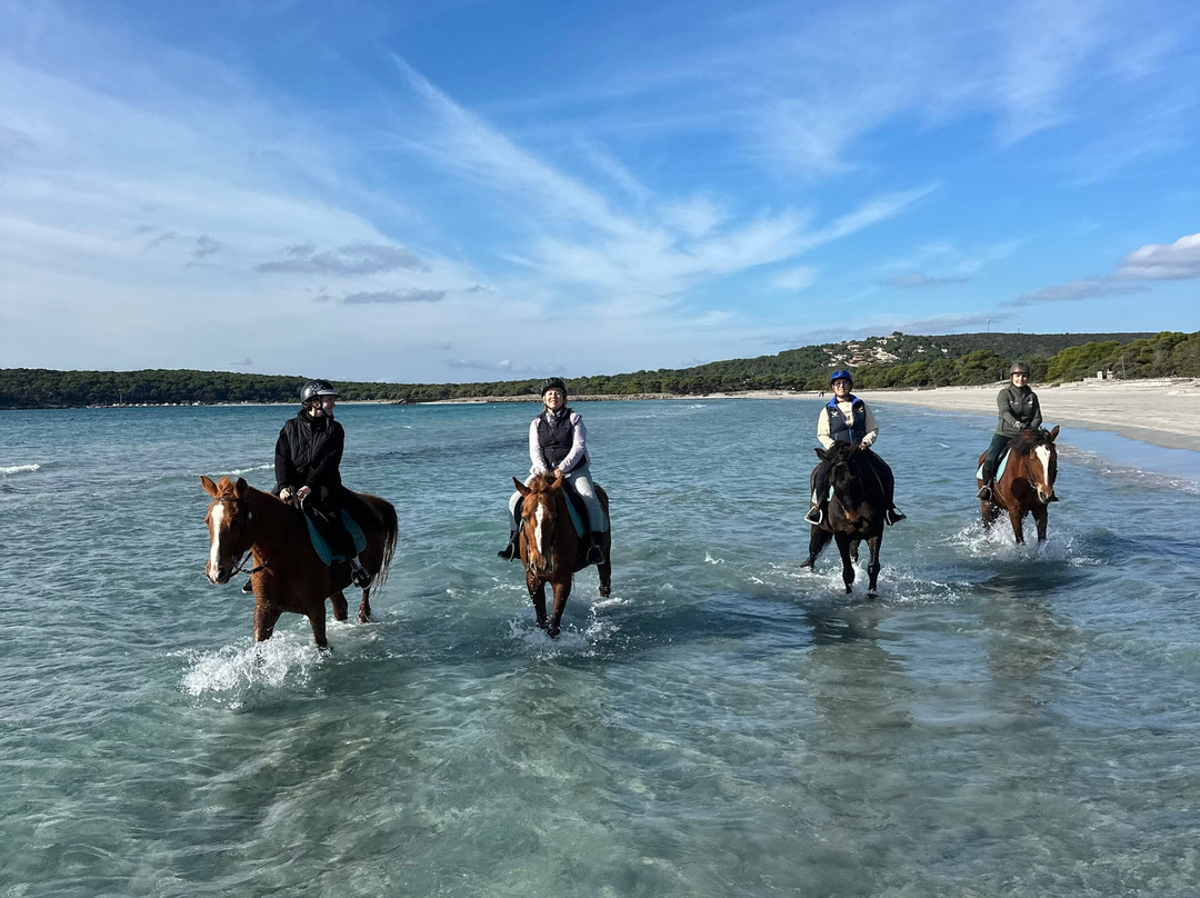 Centro Ippico Meurreddus a Cuaddu-San Giovanni Suergiu必去景点