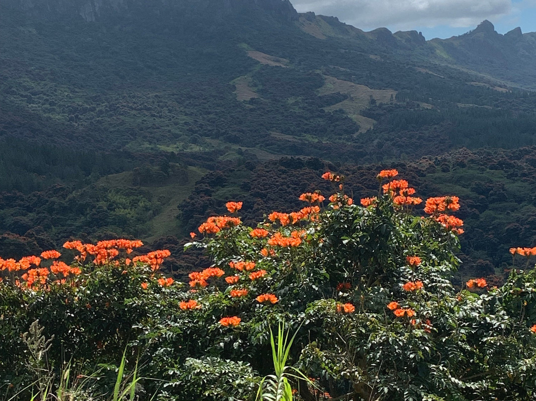 Navala Village-纳迪市必去景点