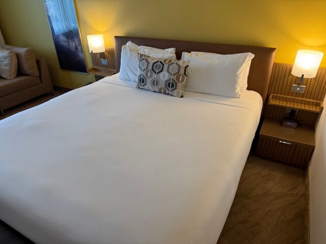 奥克兰艾勒斯利诺富特酒店主图