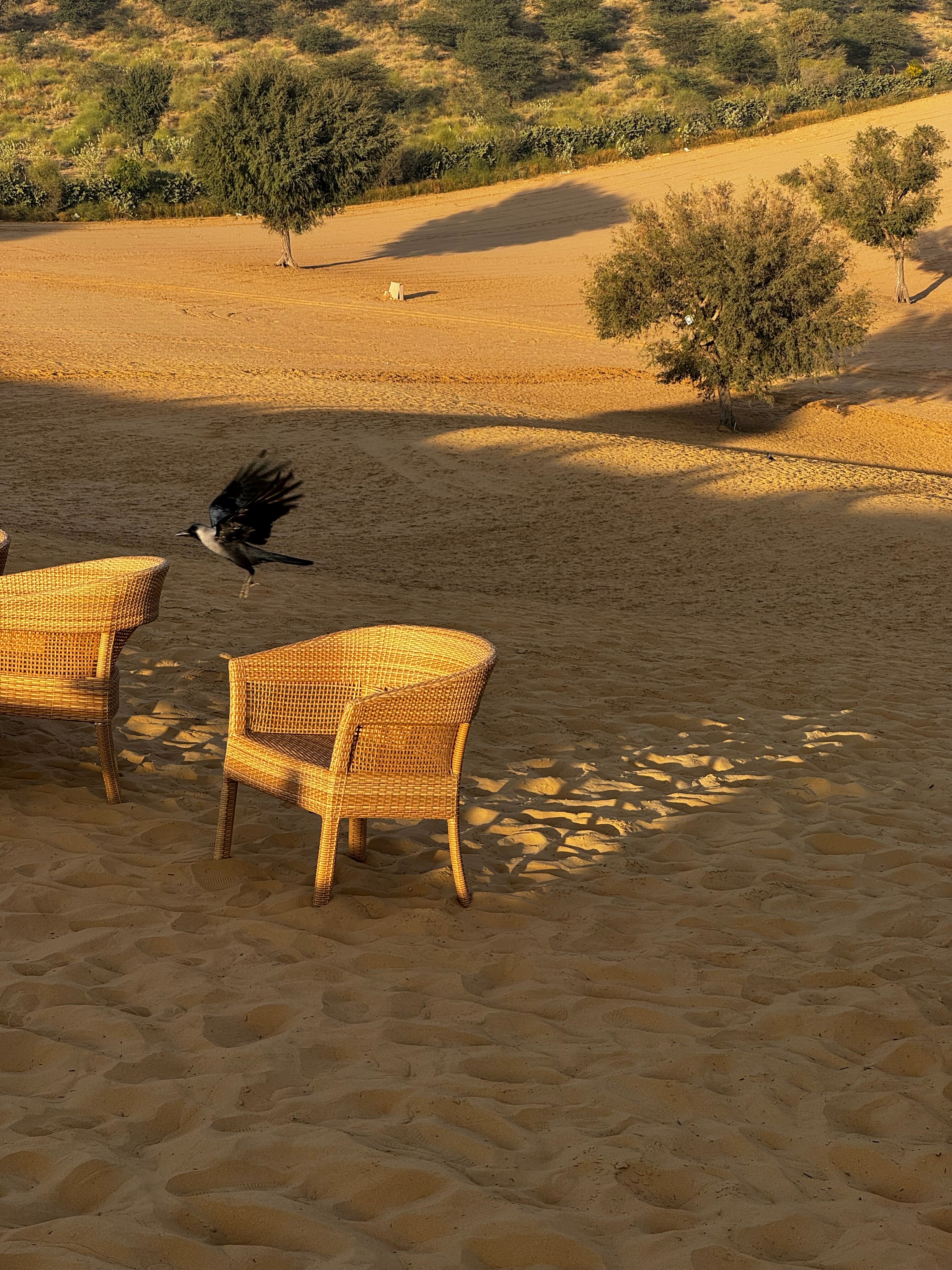 Welcomhotel by ITC Hotels, Fort & Dunes-官方