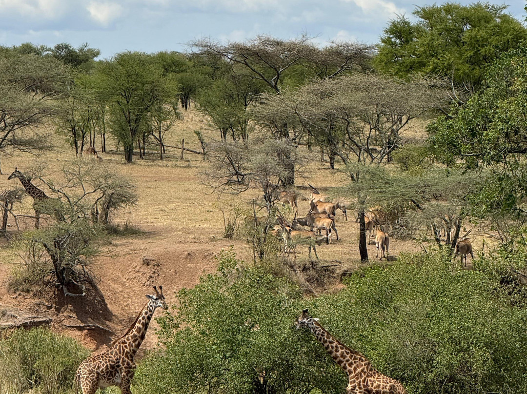 Earth Adventure-马斯喀特必去景点