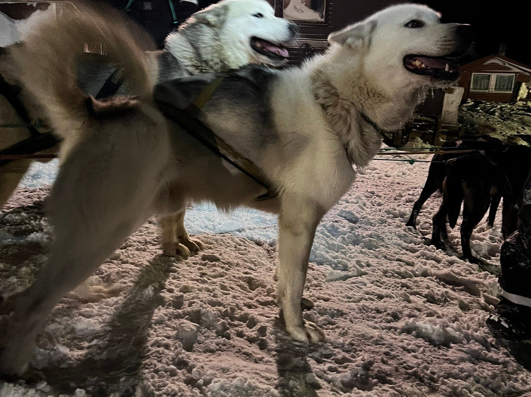 Husky Travellers-朗伊尔城必去景点