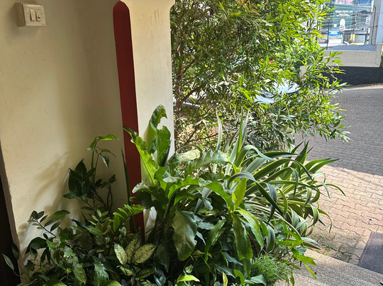 Ethnic Weaves-提卢湾安塔普兰（特里凡德伦）必去景点