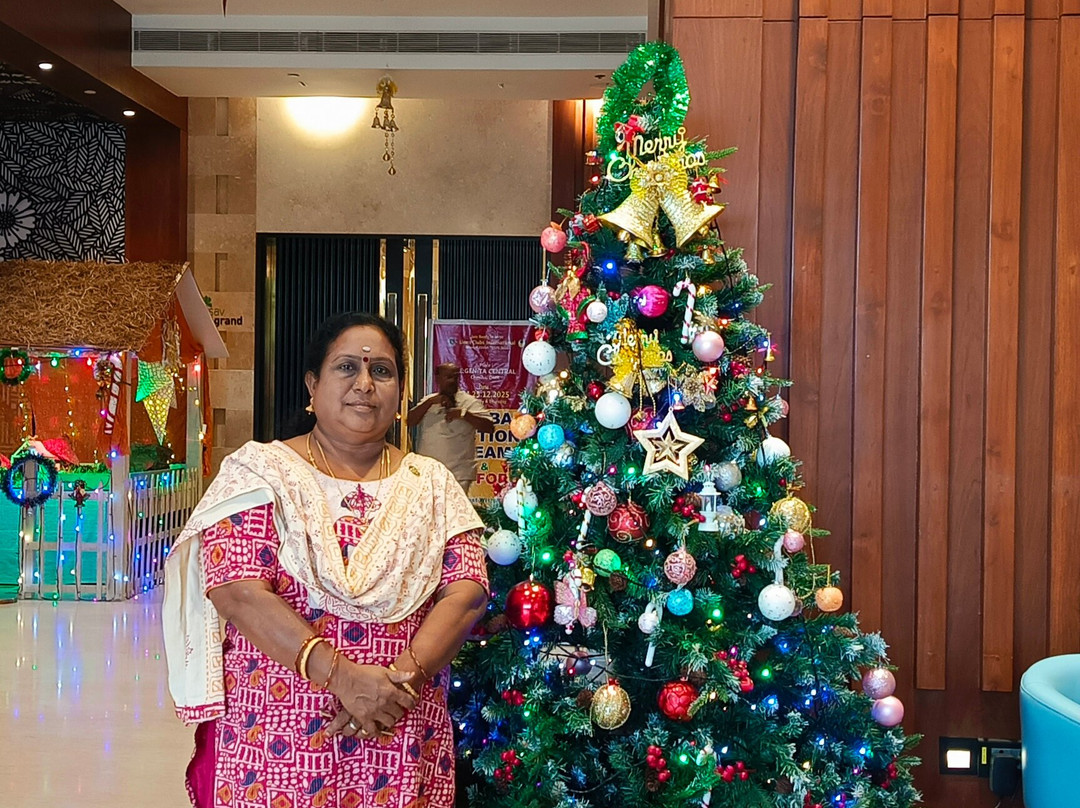 Regenta Central RS主图