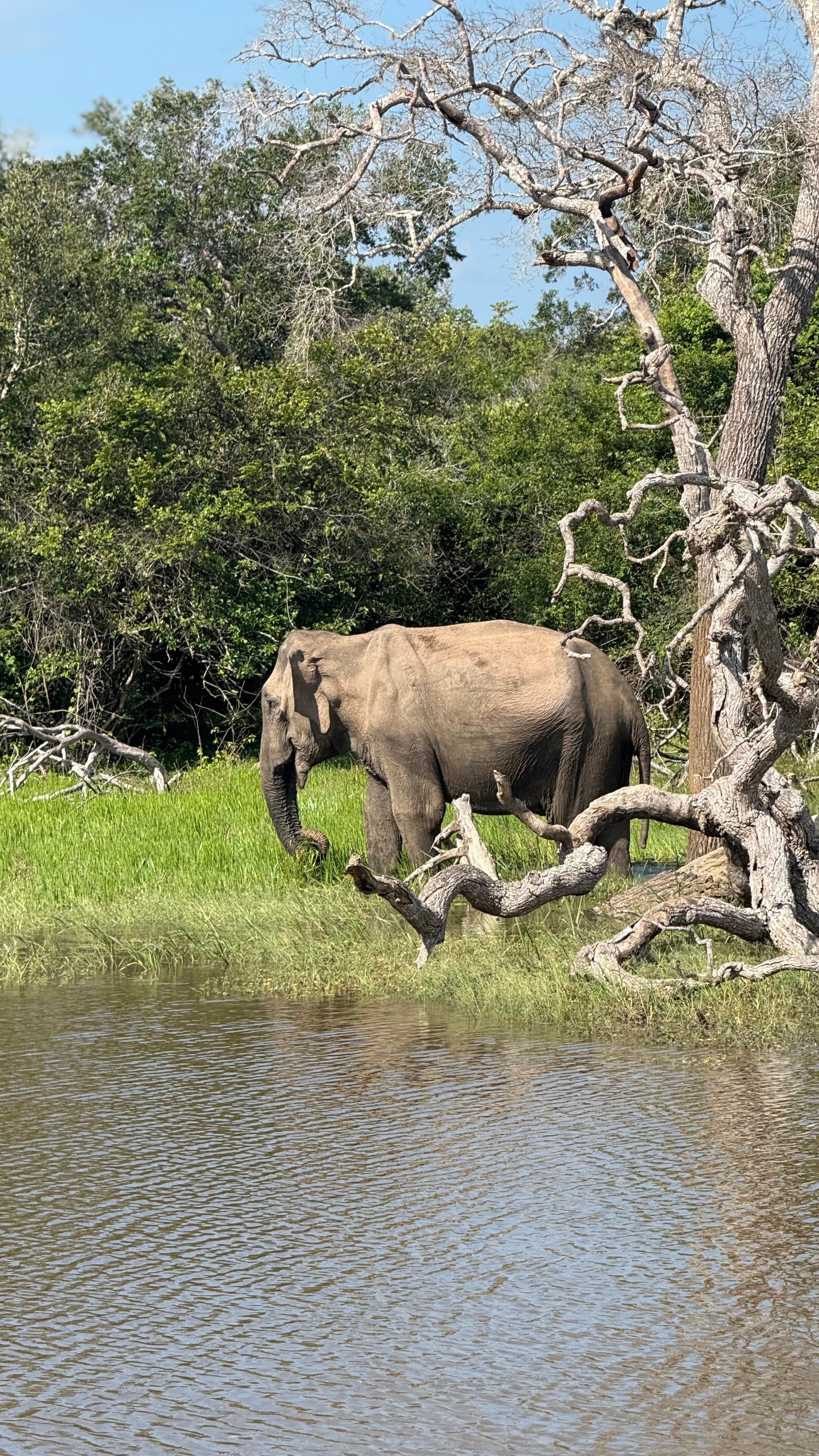 Jami River Side Hotel & Yala Safari Place-官方