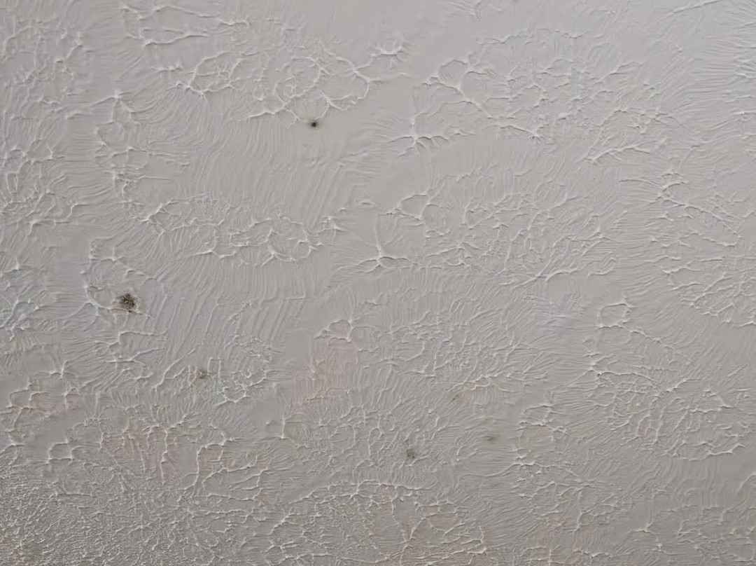 Best Western Acworth Inn主图