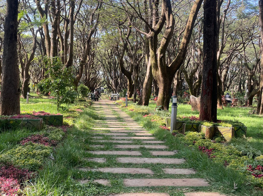 Ethio Nile Tours-巴哈尔达尔必去景点