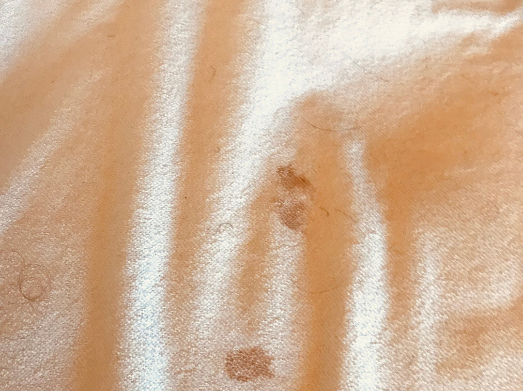 Baymont by Wyndham Lake Park Valdosta I75主图