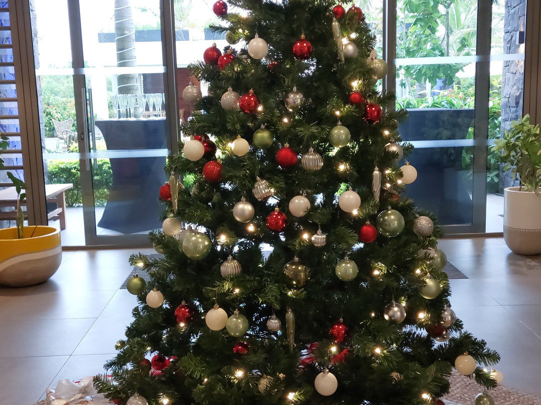 Domaine de Grand Baie主图