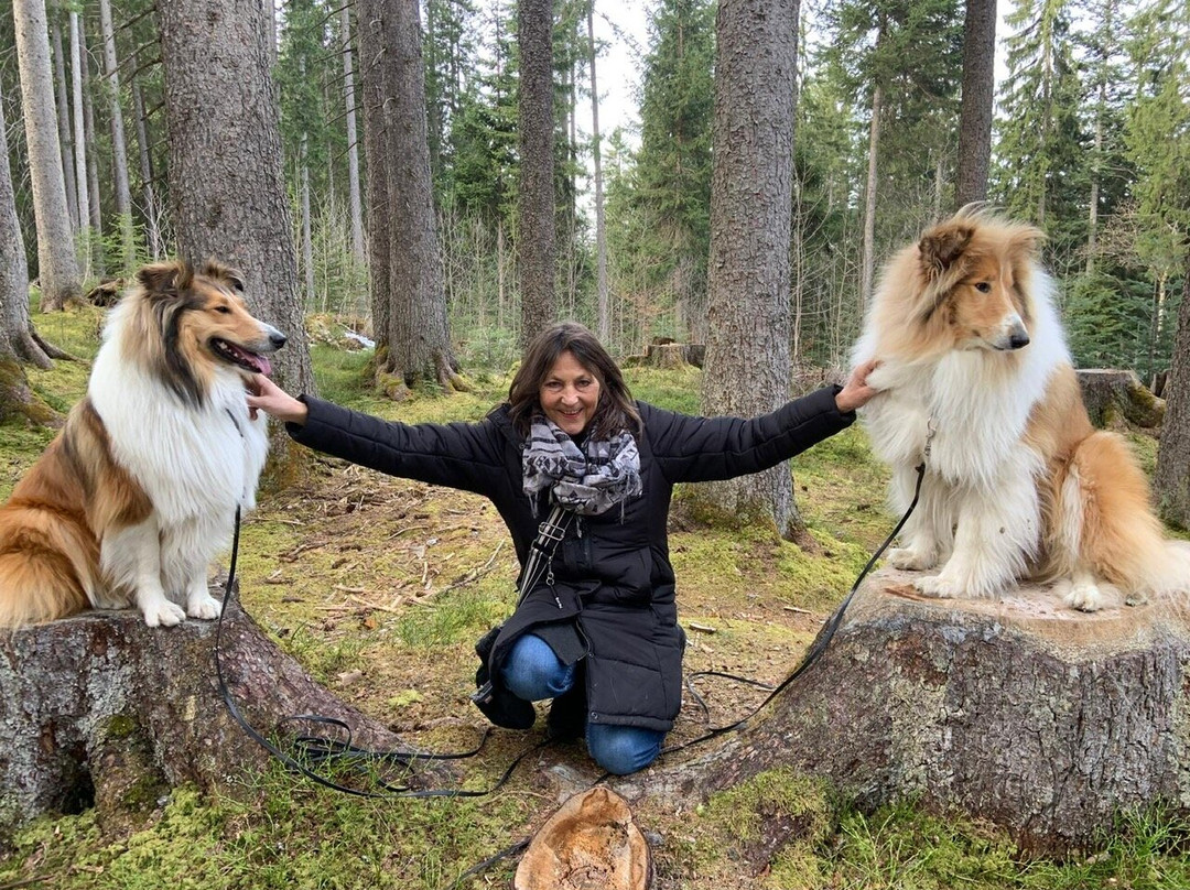 Sonnasita Natur.Genuss.Hotel